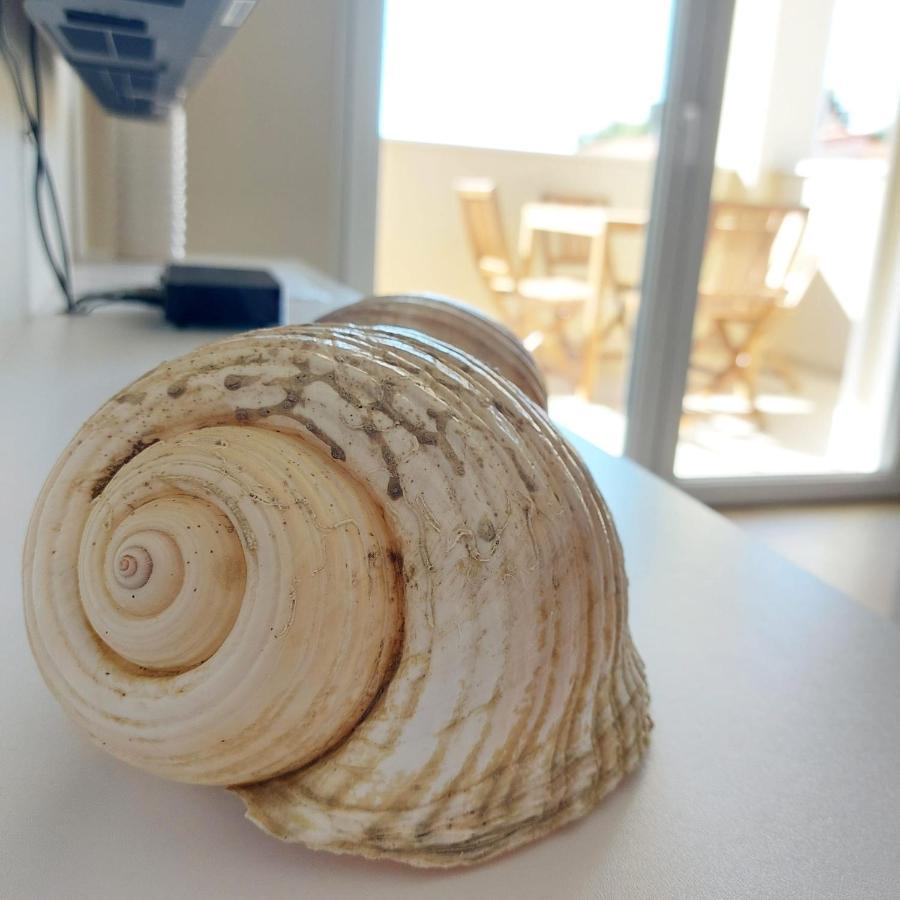 Seashells Apartments Tribunj Tribalj 外观 照片